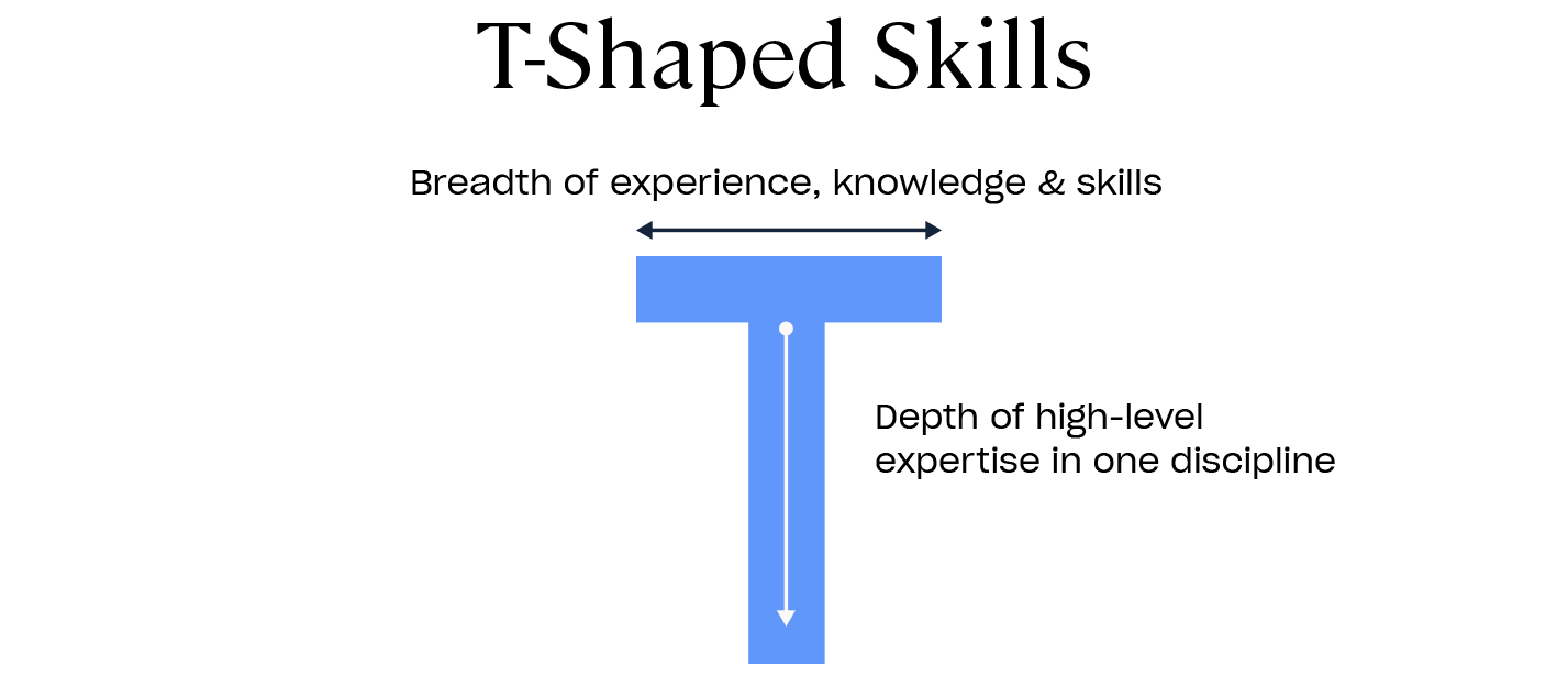Raffigurazione visiva delle competenze t-shape